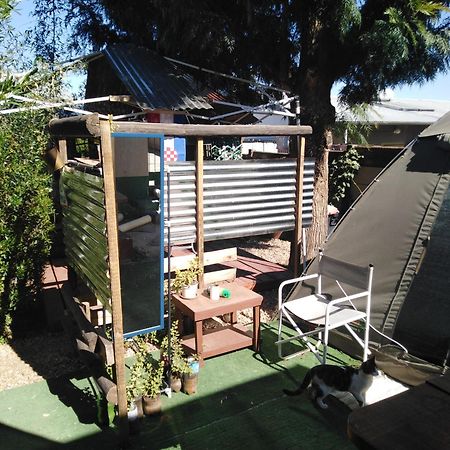 Xenia Bed & Breakfast Windhoek Exterior photo